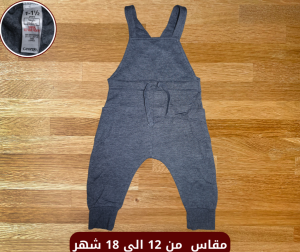 سالوبيت George